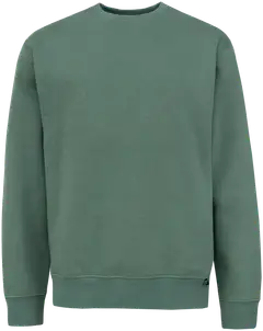 Cheetah miesten collegepusero CMT4305 - oak green - 1