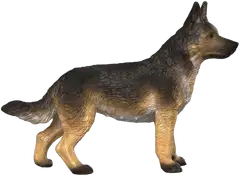 Schleich Saksanpaimenkoira naaras - 3