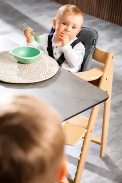 Hauck syöttötuoli Arketa tammi - 32