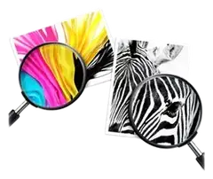 HP Mustepullo 31, magenta - 11