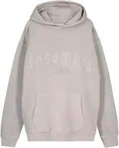 WKLY. miesten collegehuppari Applique 195W042503 - light stone grey - 1