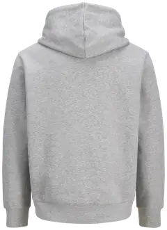 JJ Rebel miesten collegehuppari JRERBBLUE - Light Grey melange - 2