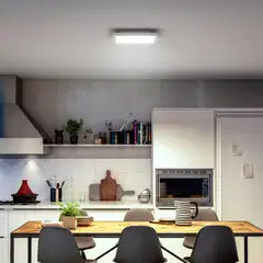 Philips Hue Aurelle -paneelivalo 19W 2000-6500K 1940LM pieni valkoinen - 5
