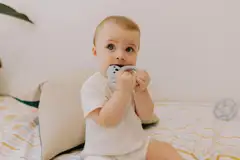 Jellystone purulelu Koala laventeli - 3