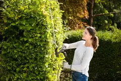 RYOBI PENSASLEIKKURI RHT5655RS - 3