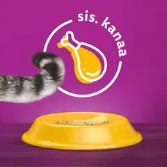 Whiskas 7+ Kanaa 800g - 2