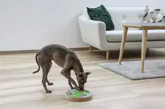 Kerbl koiran aktivointilelu pyöreä Ø25cm - 4