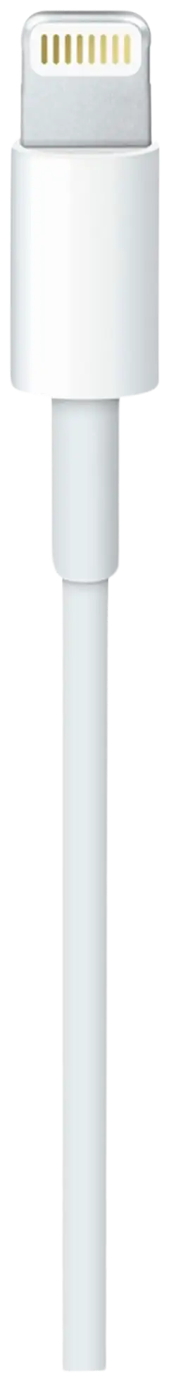 Apple USB-C to lightning 1m kaapeli MM0A3ZM/A - 3