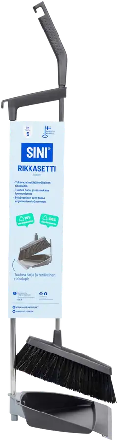 Sini rikkasetti - 1