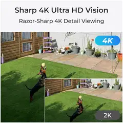 Reolink P840 (RLC-823S1W) Smart 4K PTZ PoE Cam 360° Valkoinen - 3