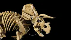 LEGO® Jurassic World 77985 Dinosaurusfossiilit: Triceratops - 6