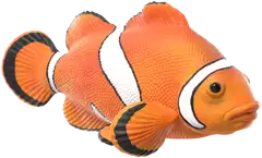 Schleich Merieläimet Löytösetti - 2