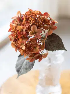 Tekokukka Bloom Deco Hortensia Oksa - 1