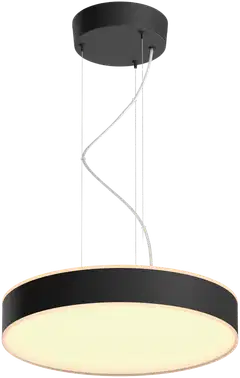 Philips Hue Enrave -riippuvalaisin 34W 2200-6500K 4300LM musta - 1