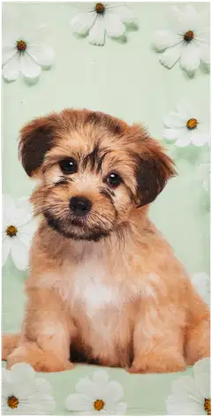 Ciraf lasten kylpypyyhe Doggy 70x140 cm - 2