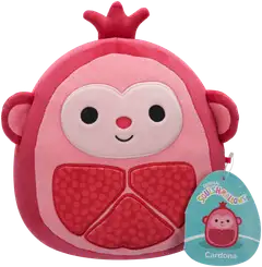 Squishmallows 19 cm P25 pehmo A ja C - 6
