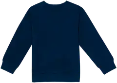 Ciraf lasten collegepaita dinot 25PC260217 - Titan 19-4128 Tcx - 2