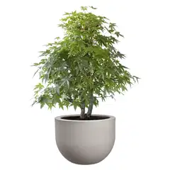 florus ruukku 40cm vaalea harmaa - 2