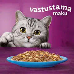 Whiskas 1+ Kalasuosikit hyytelössä (12 x 85 g) - 4