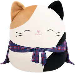 Squishmallows 30 cm P25 pehmo Cam - 1
