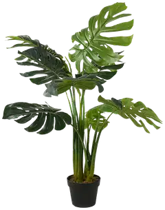 Lykke tekokasvi monstera plant 115cm - 1