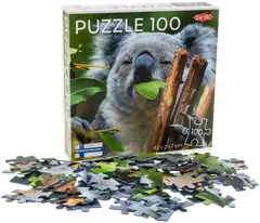 Tactic palapeli Koala at Lone Pine 100 palaa - 2