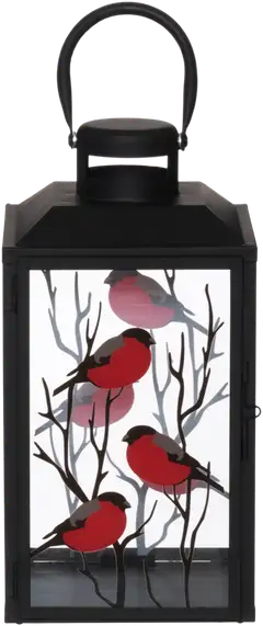 4Living Lyhty punatulkku 33 cm display - 1