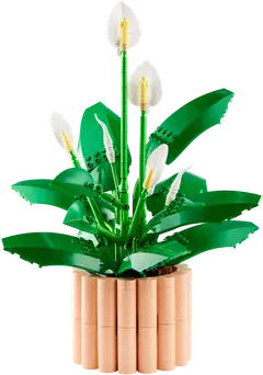 LEGO® Botanicals 11504 Viirivehka - 2