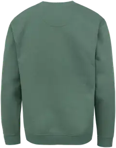 Cheetah miesten collegepusero CMT4305 - oak green - 3