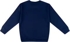 Ciraf lasten collegepusero 25PC254021 - 19-3932tcx naval academy - 2