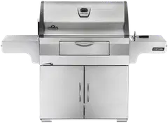 Napoleon PRO605 hiiligrilli - 3