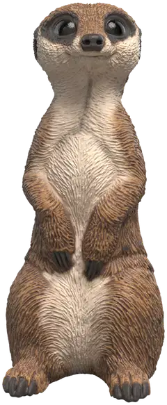 Schleich Mangusti - 1