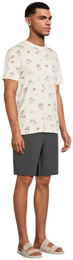 TEX miesten t-paita I275390 - BEIGE - 4