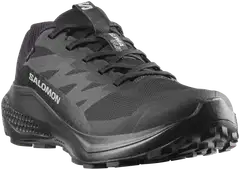 Salomon Alpha glide GTX W naisten juoksukenkä WP - Black/Asphalt/Black - 3