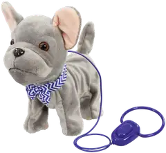 Happy Pets Ranskanbulldoggi koira - 1