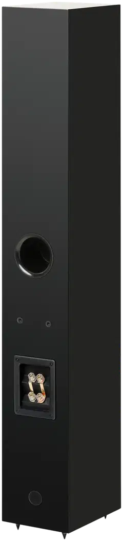 Pro-Ject Speaker Box 12 E Carbon satiini valkoinen - musta - 2
