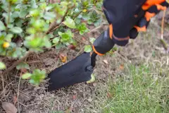 Kendo istutuslapio kapea - 5