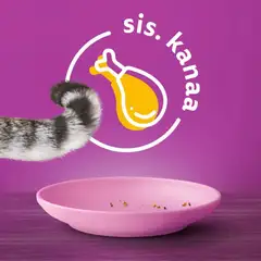 Whiskas Junior sis. Kanaa (800 g) - 4