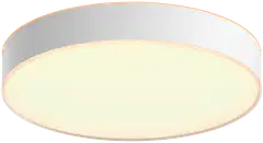 Philips Hue Enrave -kattovalaisin 34W 2200-6500K 4300LM Large valkoinen - 1