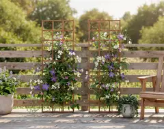 Köynnösritilä, luonnon ruskea, 60x180cm - 4