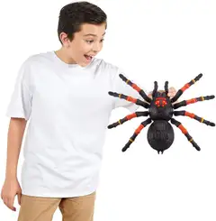 Giant Tarantula S1 - 5
