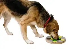 Kerbl koiran aktivointilelu pyöreä Ø25cm - 2