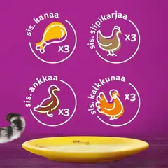 Whiskas 1+ Siipikarjaherkut kastikkeessa (12 x 85 g) - 2