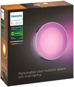 Philips Hue Daylo -seinävalaisin ulkokäyttöön 15W 2000-6500K 1060LM inox - 2
