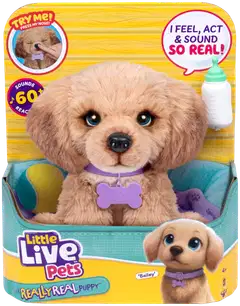 LLP My Really Real Daxie Puppy - 1
