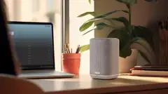 Denon Home 150 NV HEOS kaiutin - 7