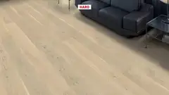 Parketti Tammi lankku Light White Country, harjattu, NaturaDur-mattalakattu - 2