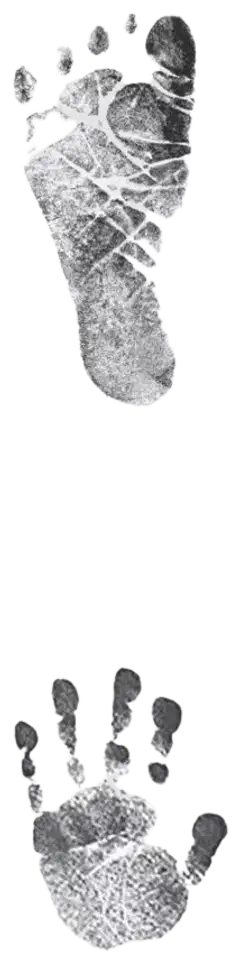 Dooky Musteettomat kuvatyynyt - 2