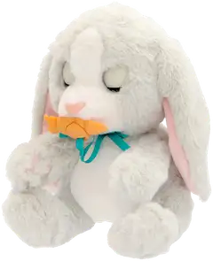 Baby Paws Pupu - 3