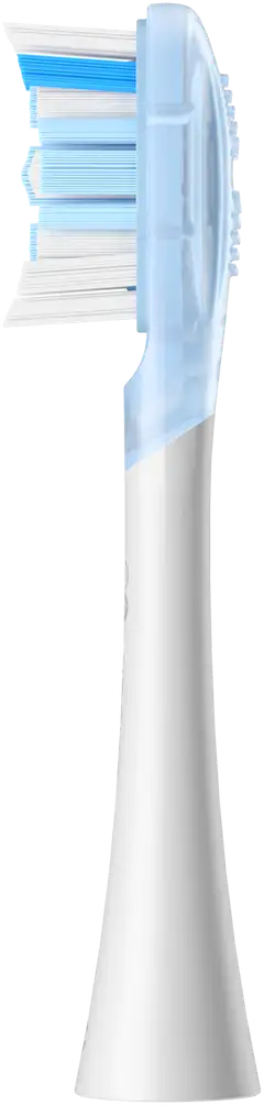 Oclean Ultra Clean harjaspää valkoinen 6 kpl C04000383 - 3